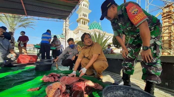 Hultatang periksa daging