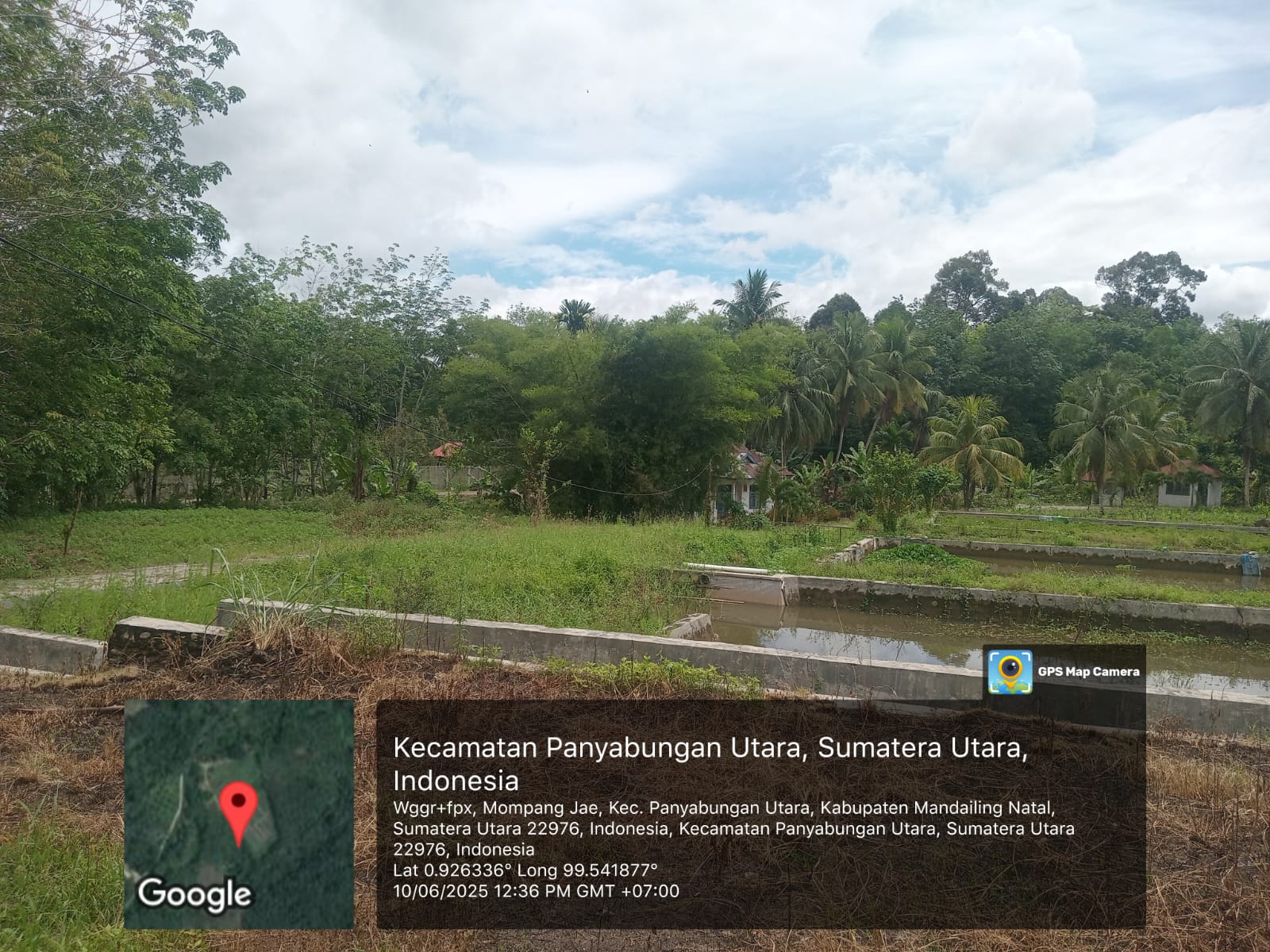 Sumatera - Utara : Kejaksaan Madina Diharapkan Audit Anggaran Dinas Perikanan & Laut Perihal Balai Bibit Ikan Tanjung Mompang di Terlantarkan/Tidak di Fungsikan 3 sumatera utara5