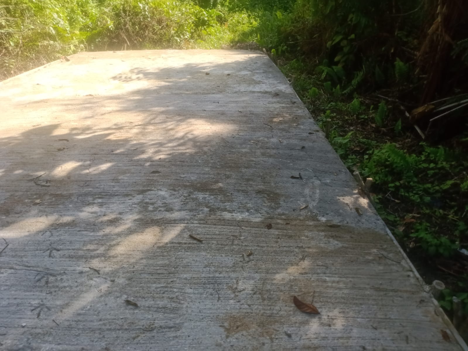 Bupati Wajib!!! Perhatian Khusus Pada Jalan Tingkat Di Pedesaan Dalam Kontruksi Pengerjaan Area Seluruh Pedesaan (Ganti Kabid Perkim) 3 » budiguatama3