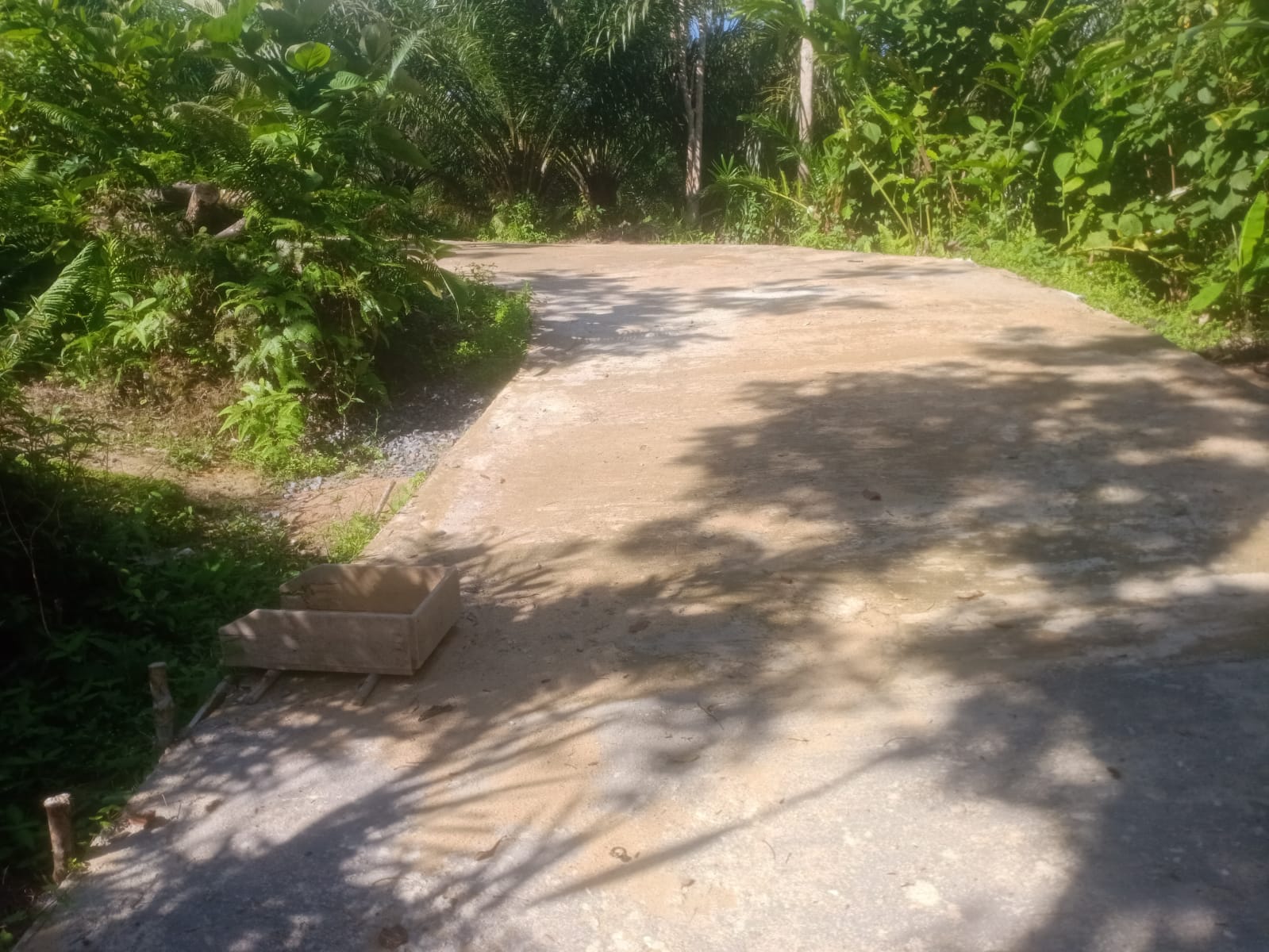 Bupati Wajib!!! Perhatian Khusus Pada Jalan Tingkat Di Pedesaan Dalam Kontruksi Pengerjaan Area Seluruh Pedesaan (Ganti Kabid Perkim) 4 » budiguatama4