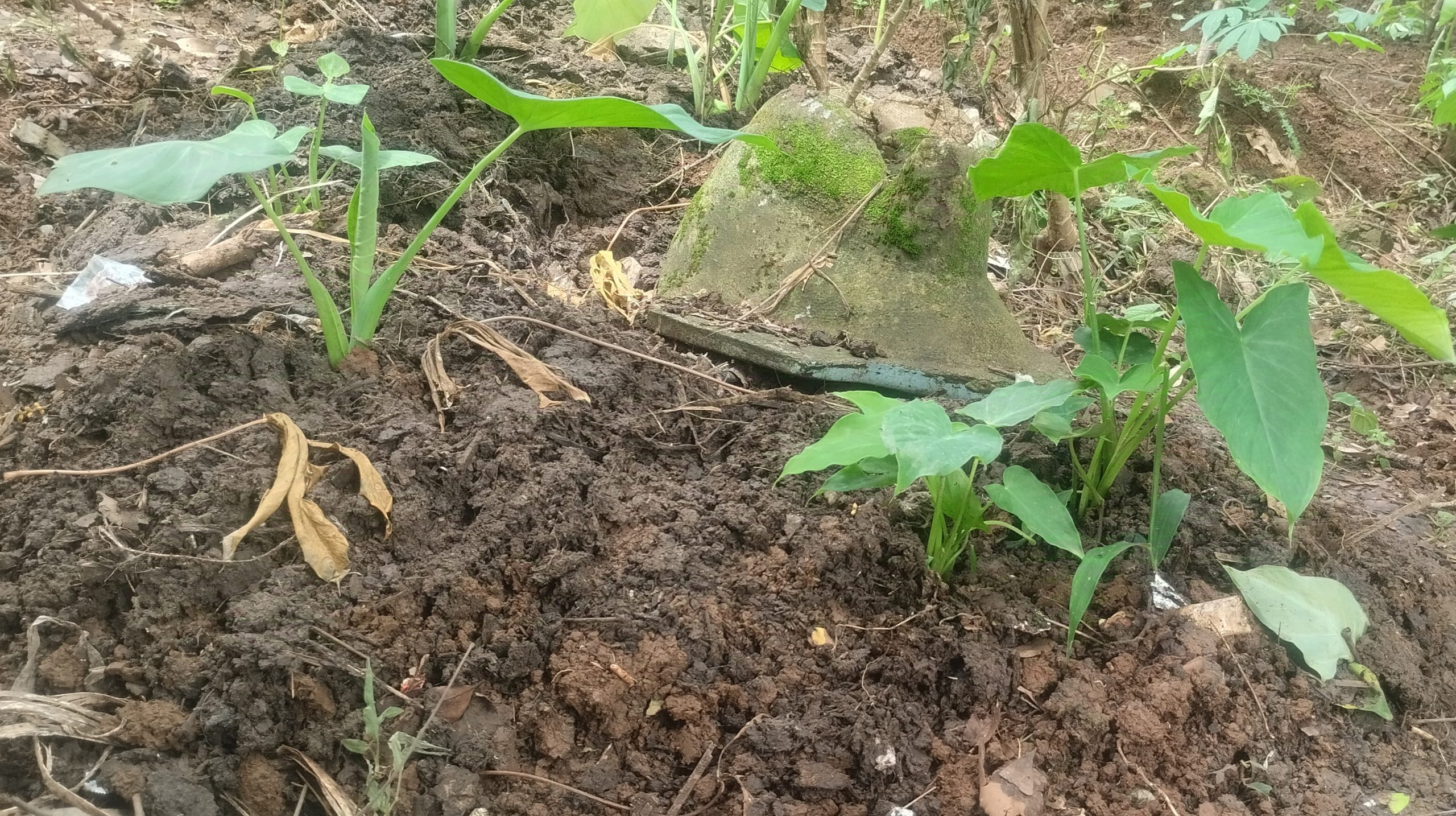 IMG 20251127 102128 scaled