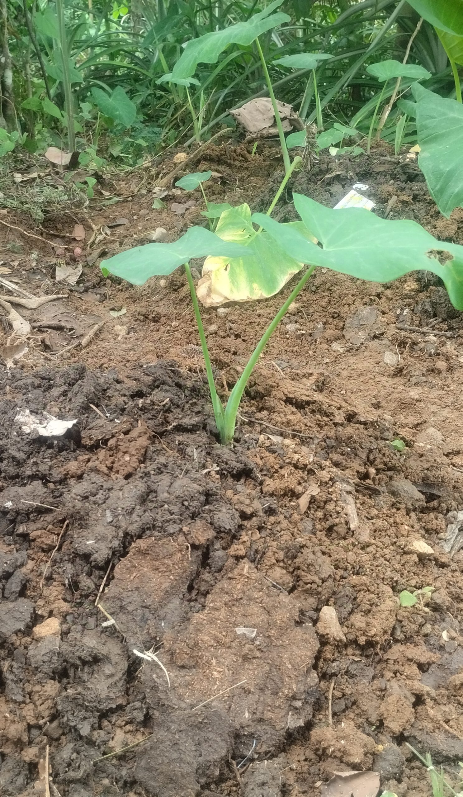 IMG 20251127 102145 scaled